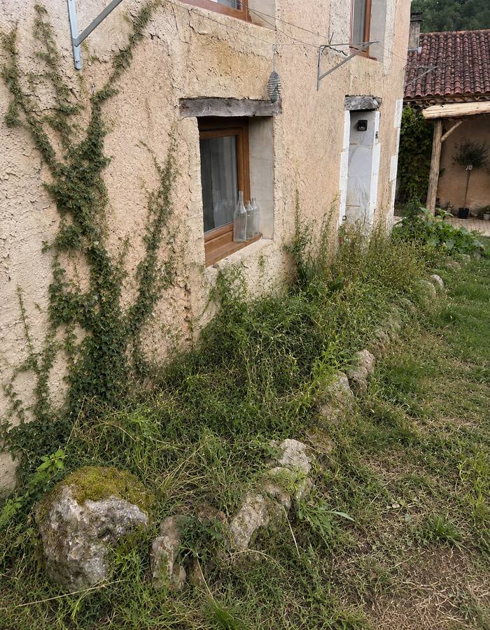 Avant : façade envahie par les herbes hautes